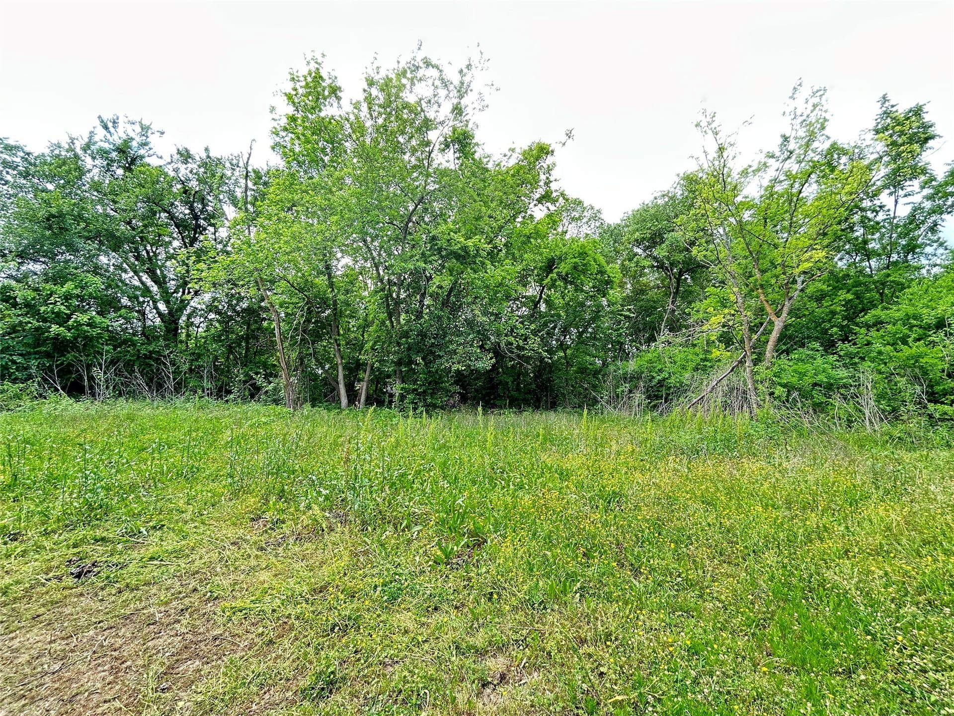 0.3 acres in Hopkins County - photo 11