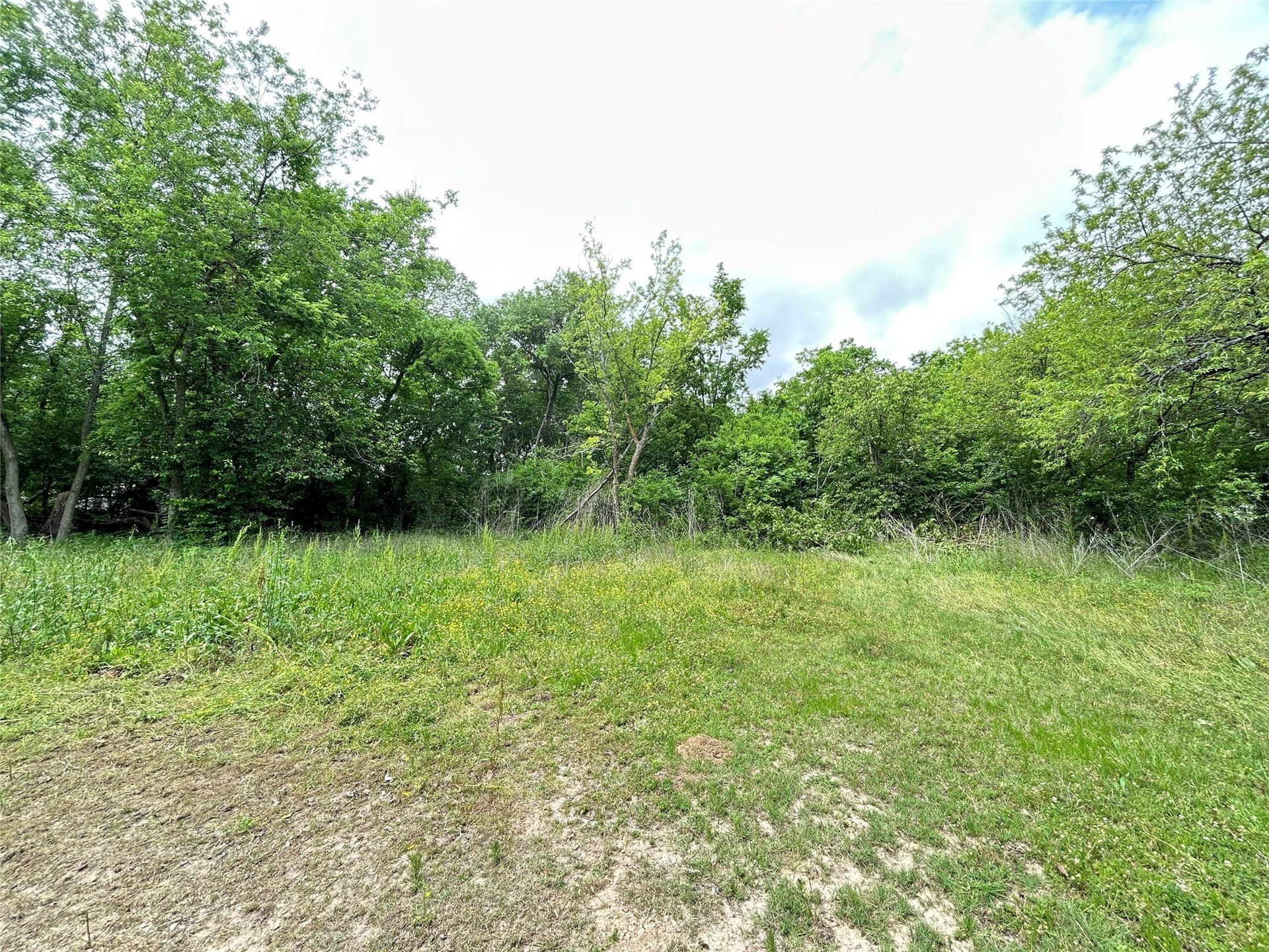 0.3 acres in Hopkins County - photo 10