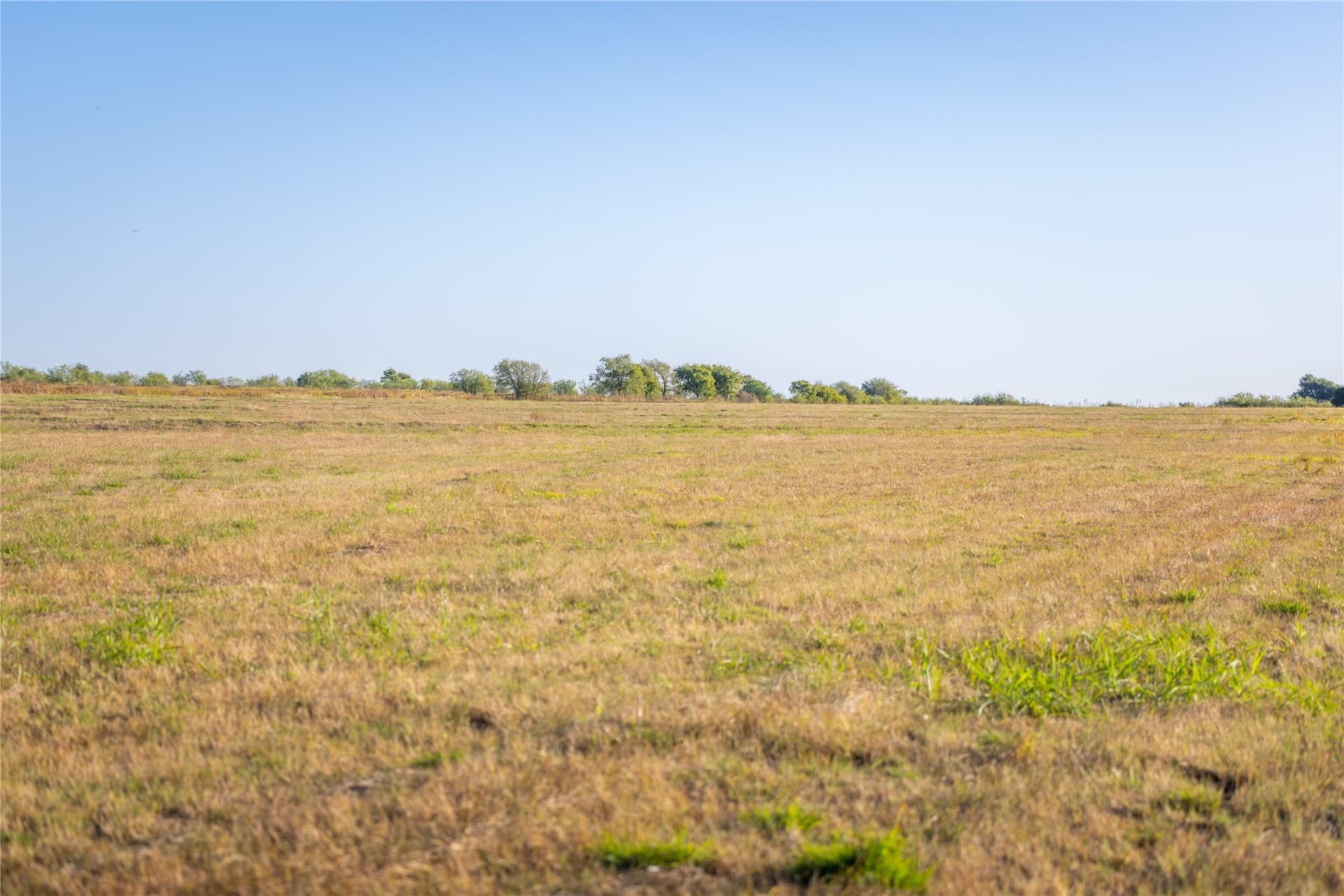 279 acres in Johnson County - photo 8