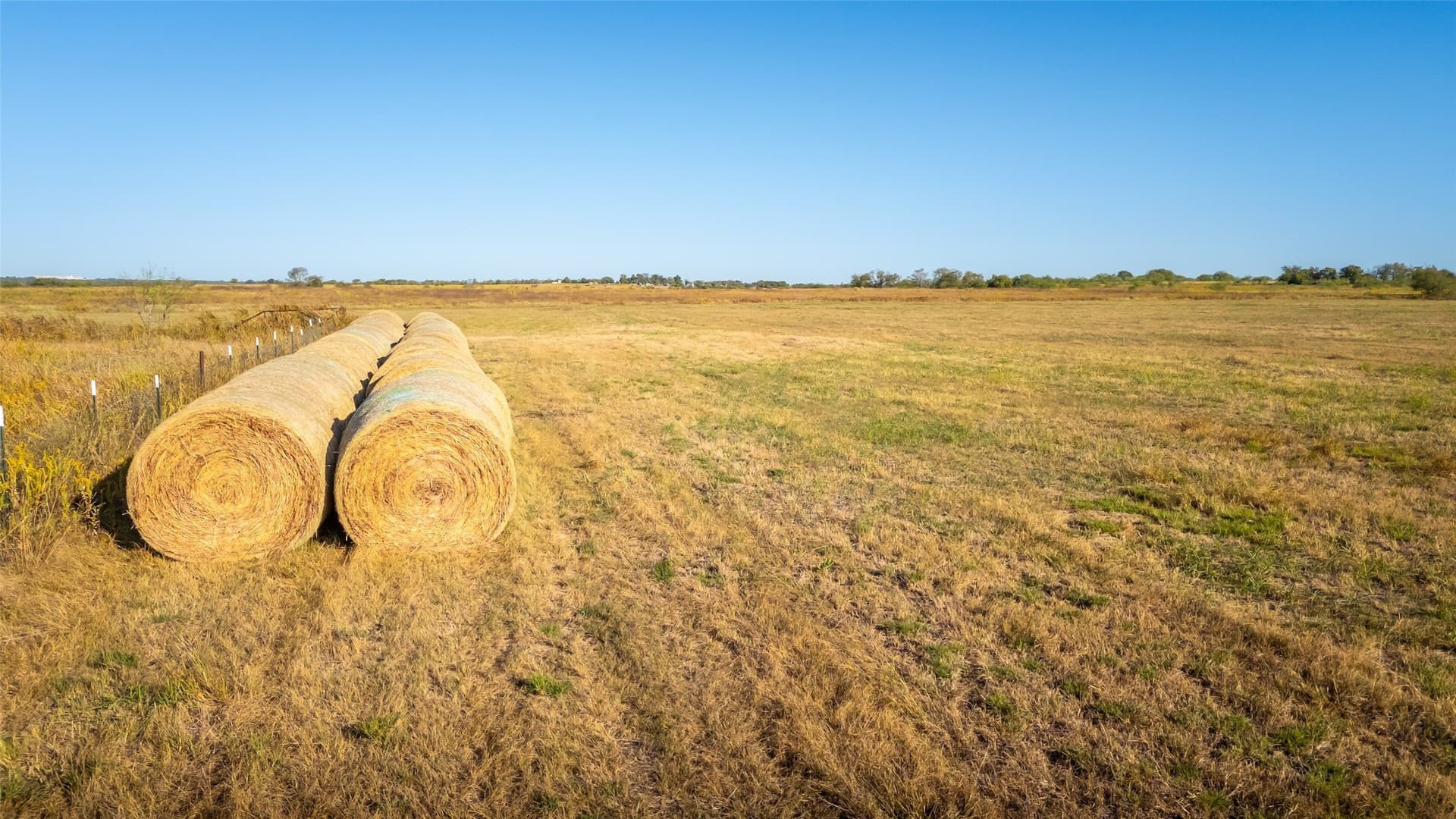 279 acres in Johnson County - photo 14