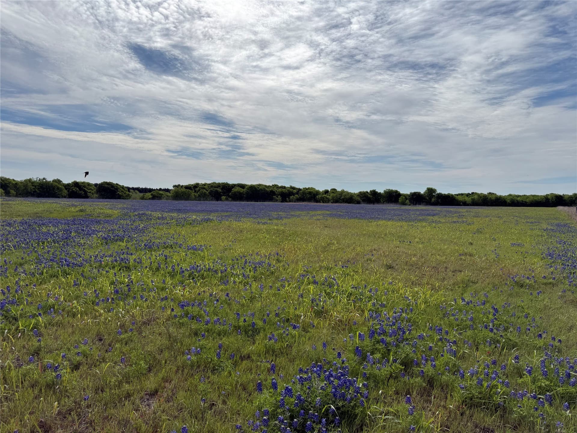 279 acres in Johnson County - photo 33