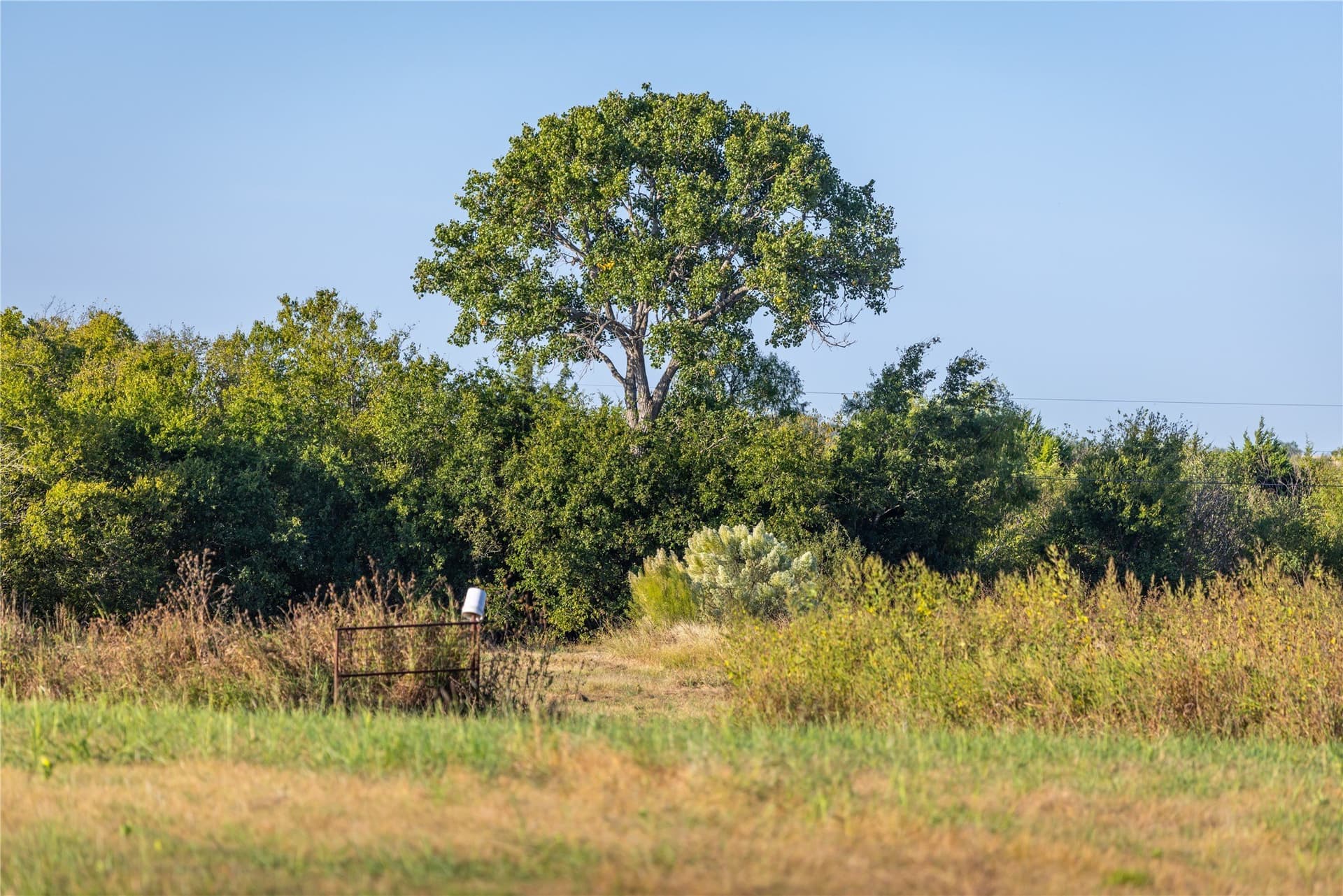 279 acres in Johnson County - photo 7
