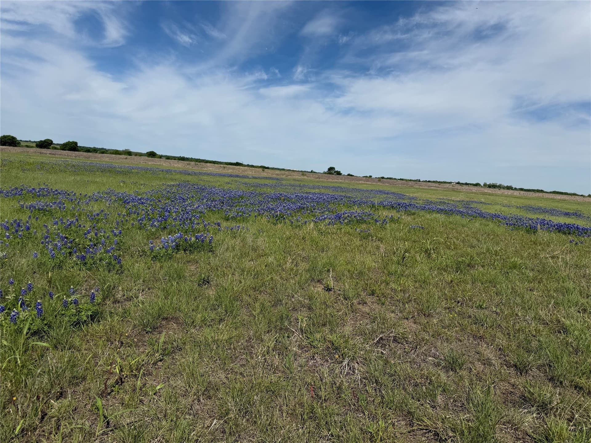 279 acres in Johnson County - photo 38
