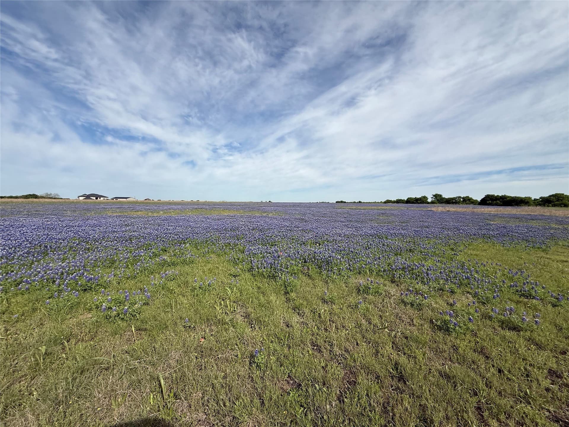 279 acres in Johnson County - photo 34