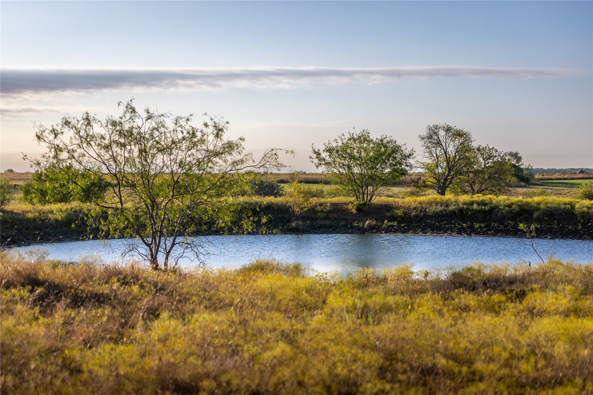 279 acres in Johnson County - photo 11