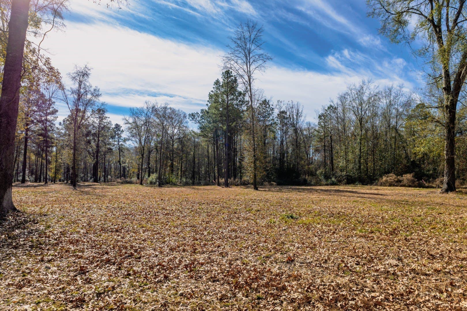 0.7 acres in Shelby County - photo 15