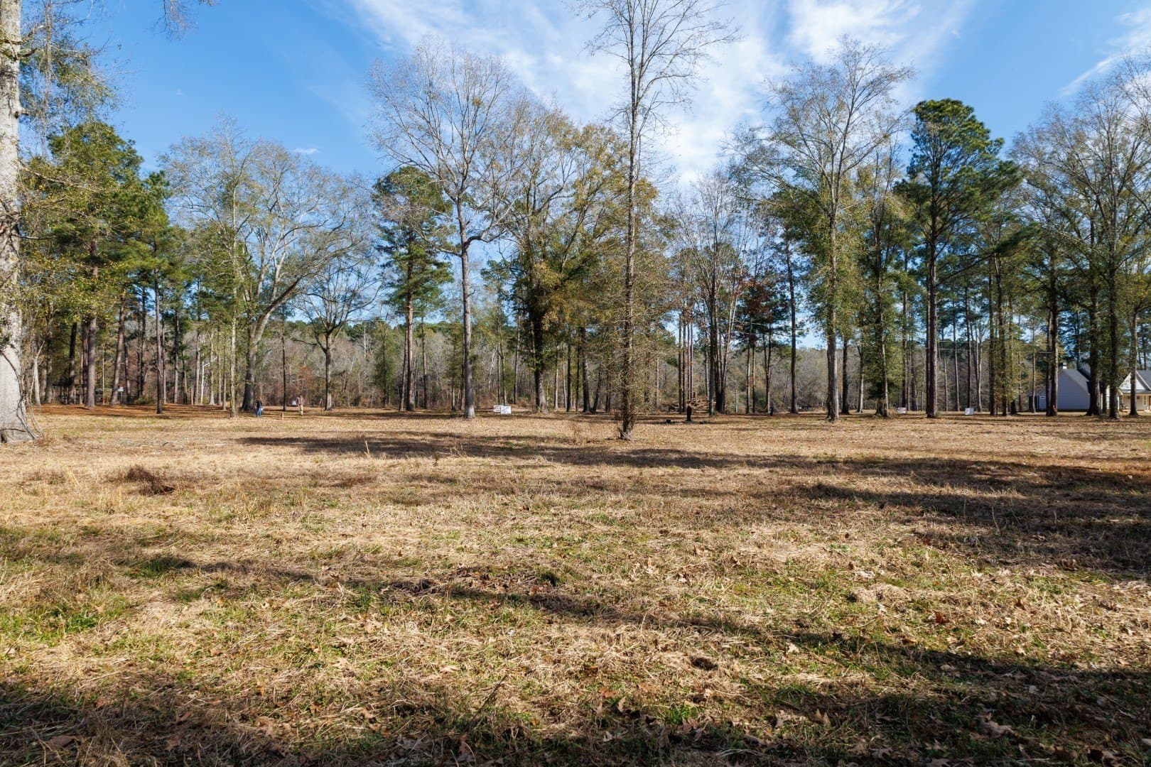 0.7 acres in Shelby County - photo 16