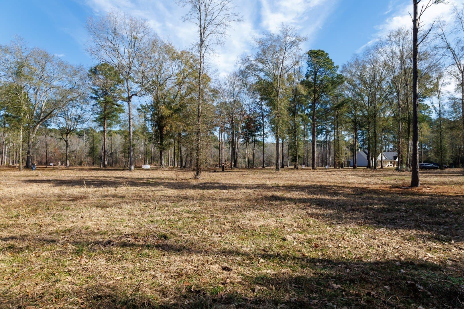0.7 acres in Shelby County - photo 17