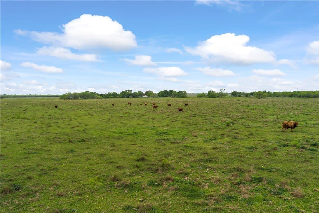 30 acres in Kleberg County gallery image 3