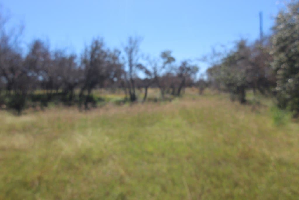 4.14 acres in Texas County - photo 7