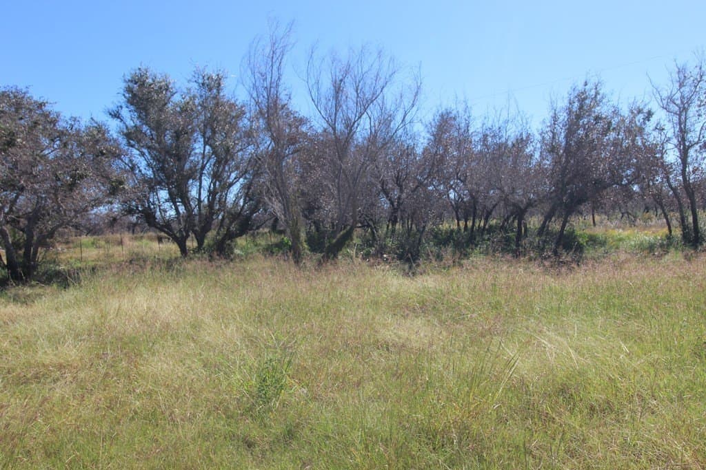 4.14 acres in Texas County - photo 8