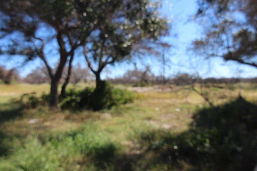 4.14 acres in Texas County gallery image 4