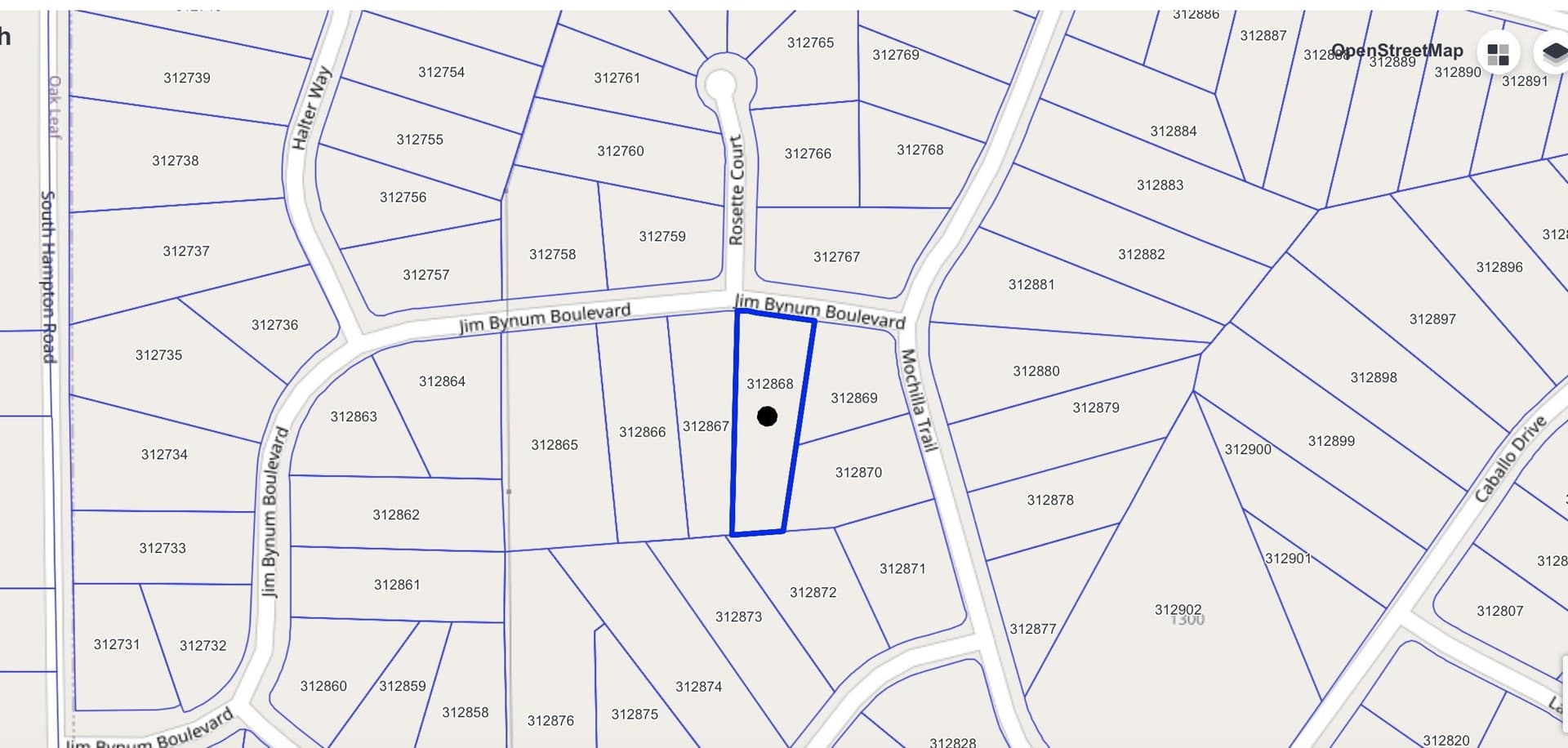 1.45 acres in Ellis County - photo 6