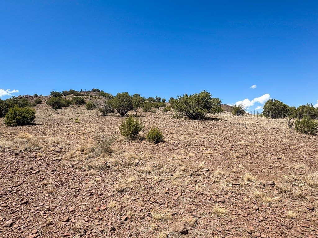 7.67 acres in Brewster County - photo 3