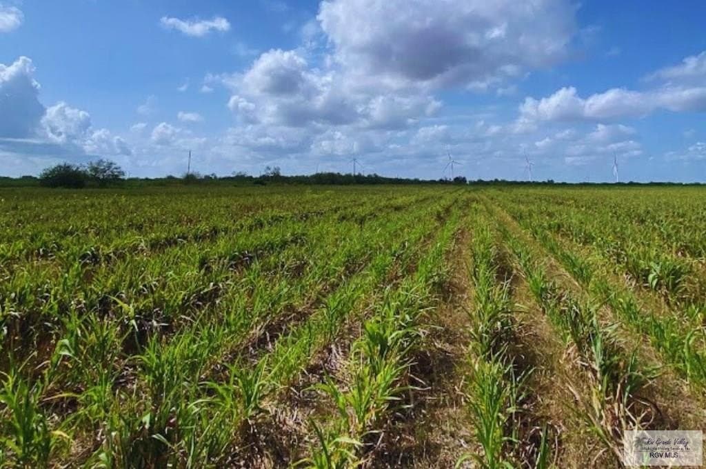 8.61 acres in CAMERON County gallery image 4