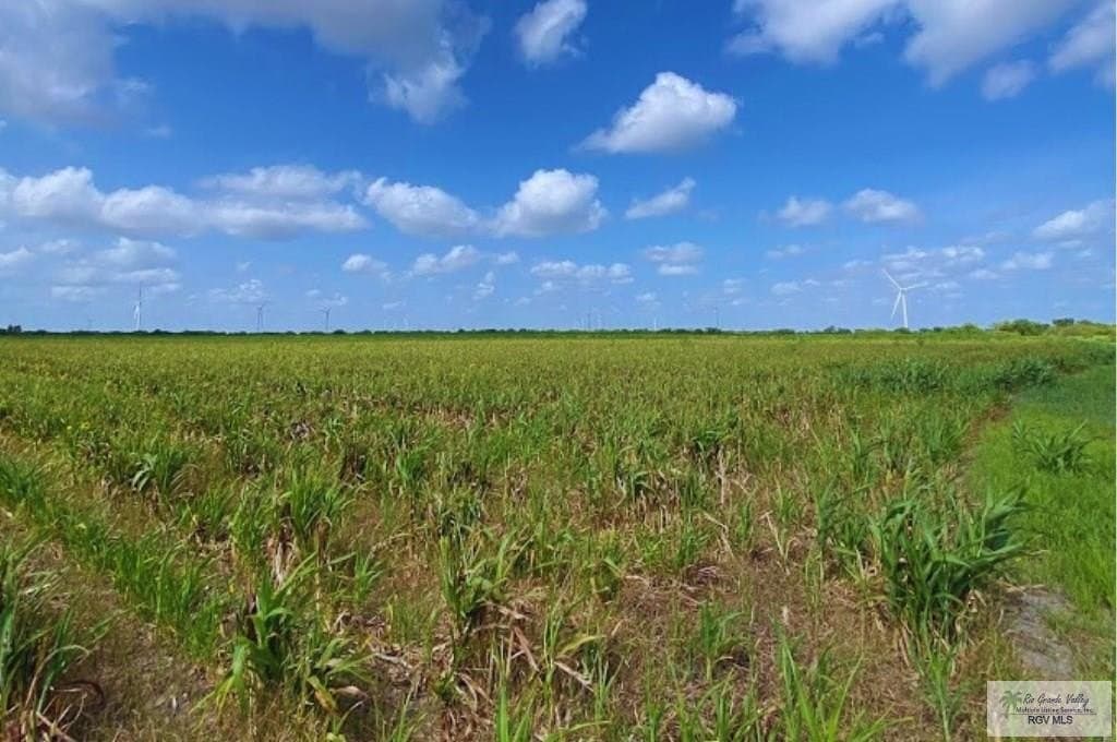 8.61 acres in CAMERON County gallery image 2