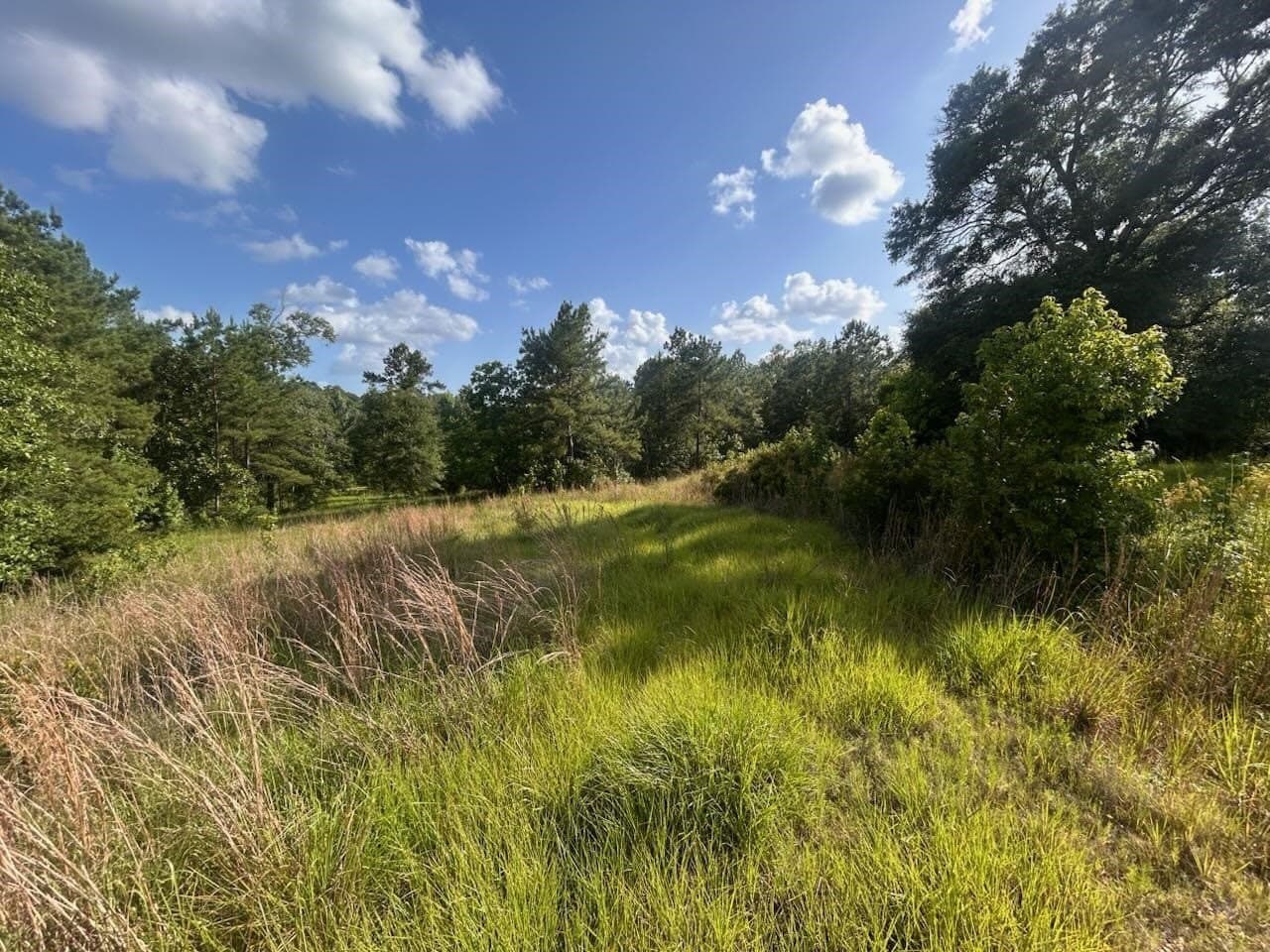 15.38 acres in Texas County - photo 13