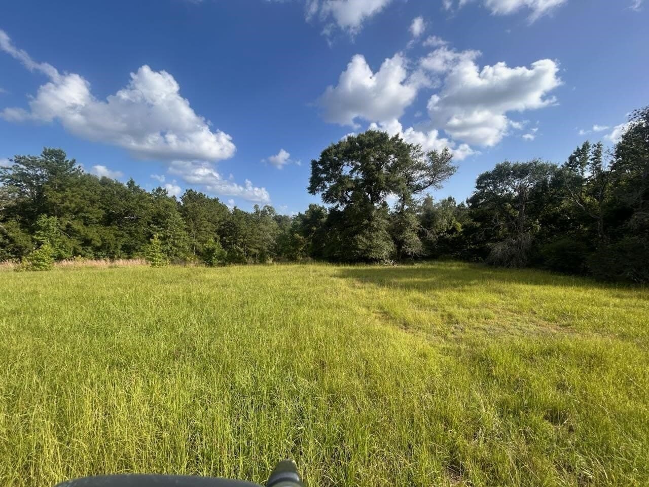 15.38 acres in Texas County gallery image 4