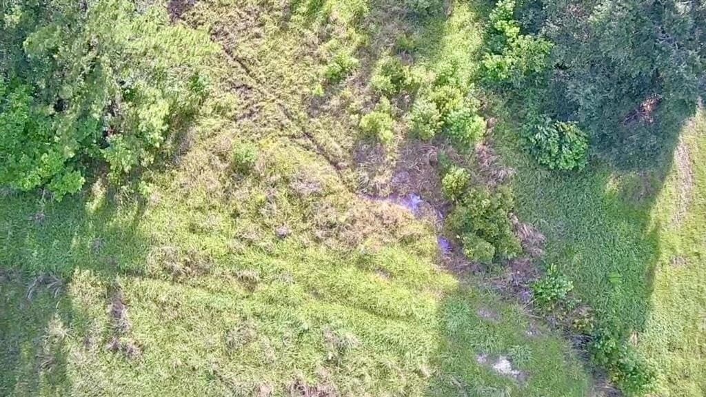 15.38 acres in Texas County - photo 15