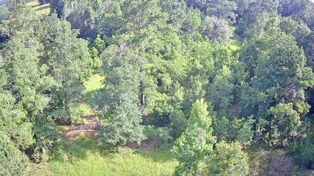 15.38 acres in Texas County - photo 6
