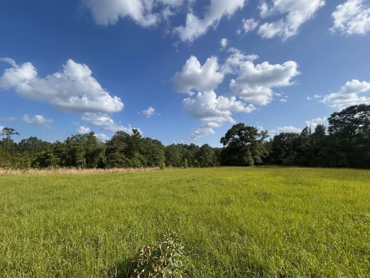 15.38 acres in Texas County gallery image 3