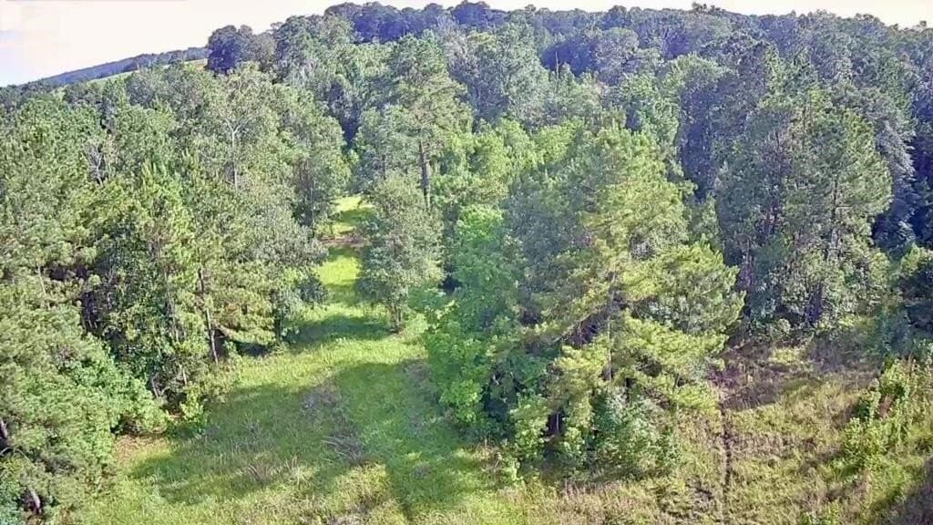 15.38 acres in Texas County - photo 14