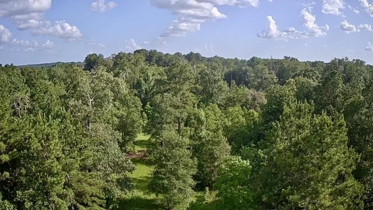 15.38 acres in Texas County - photo 12