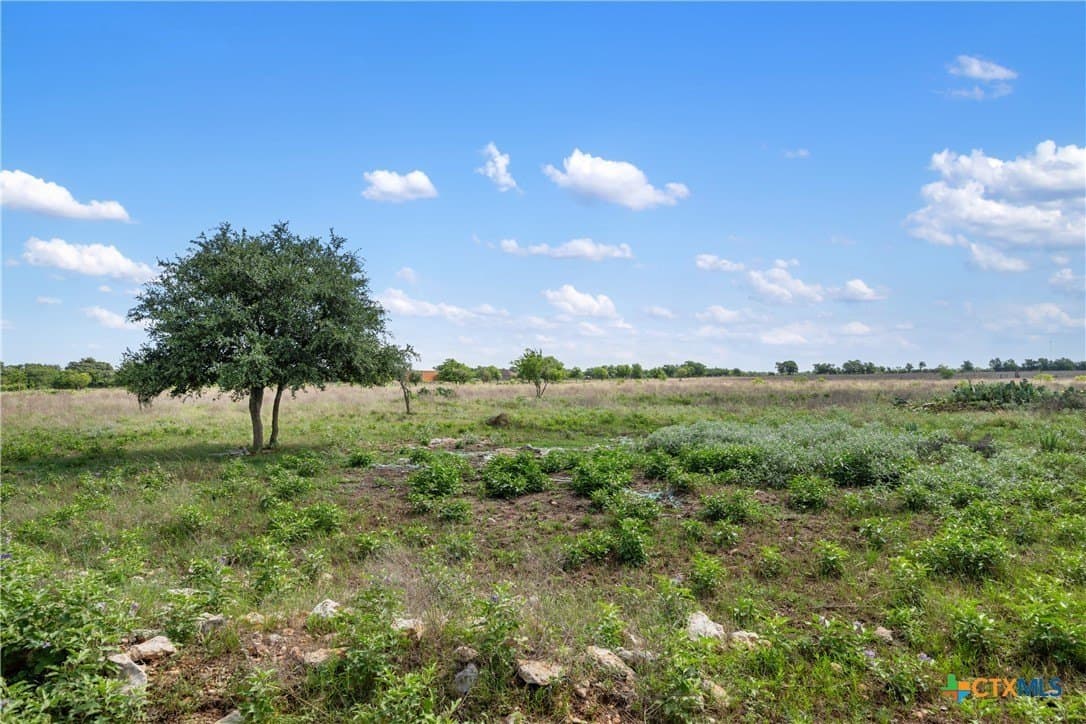 21.59 acres in Williamson County - photo 14