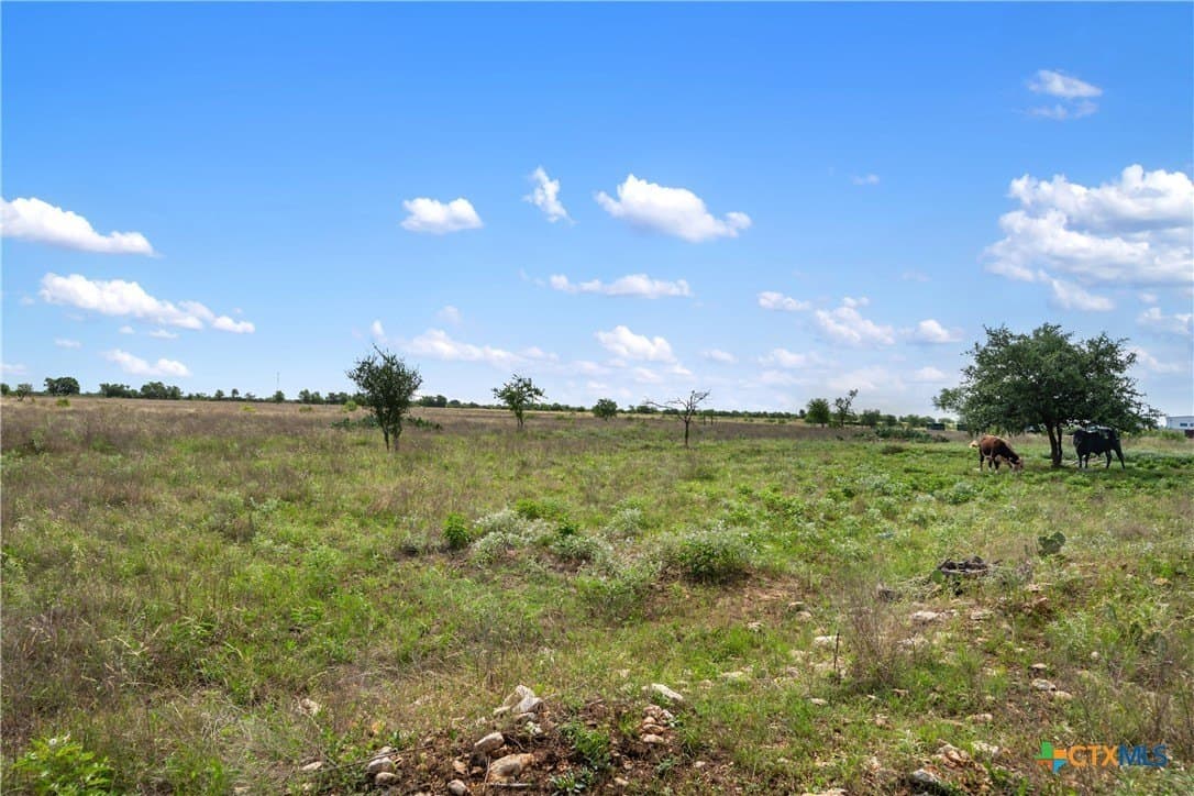 21.59 acres in Williamson County - photo 16