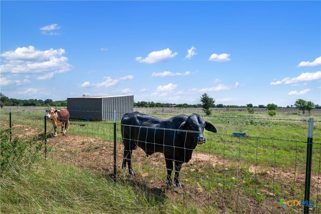 21.59 acres in Williamson County - photo 12