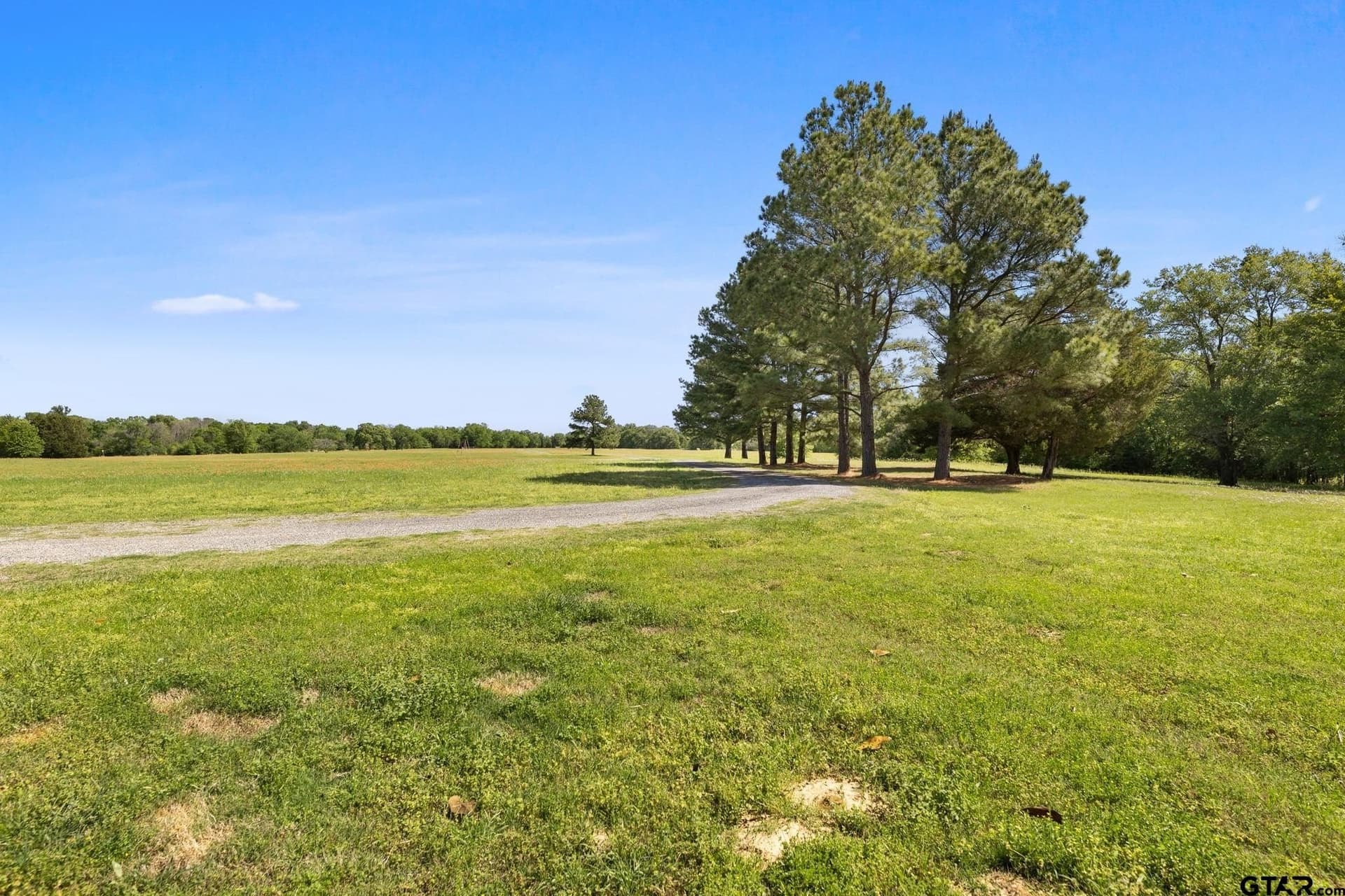 85.89 acres in Van Zandt County gallery image 2