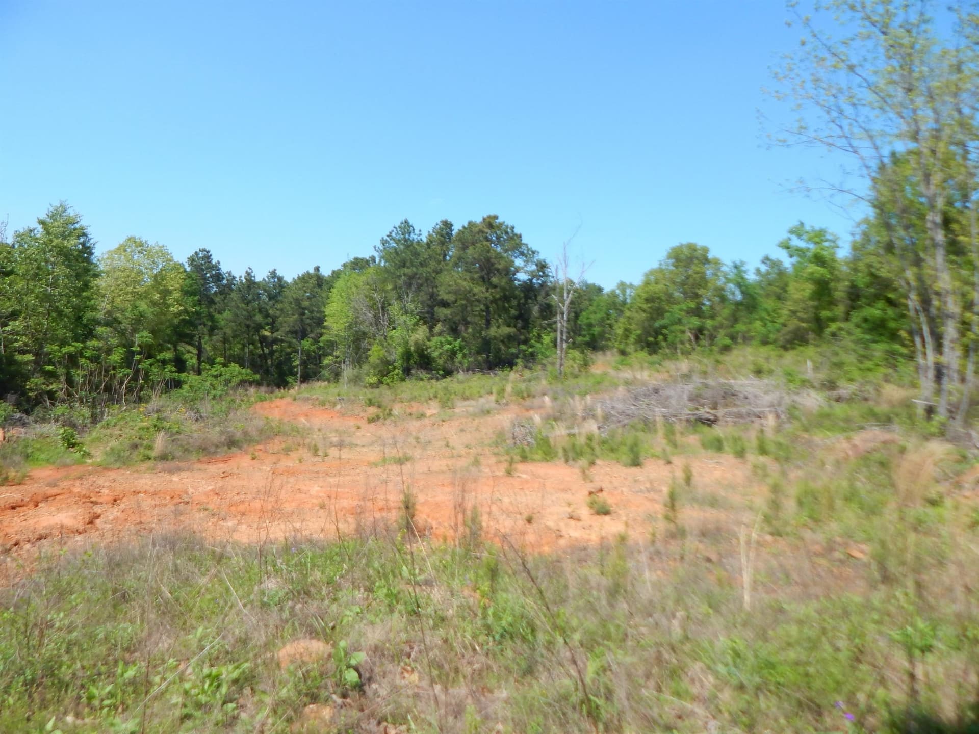 15 acres in Upshur County - photo 10
