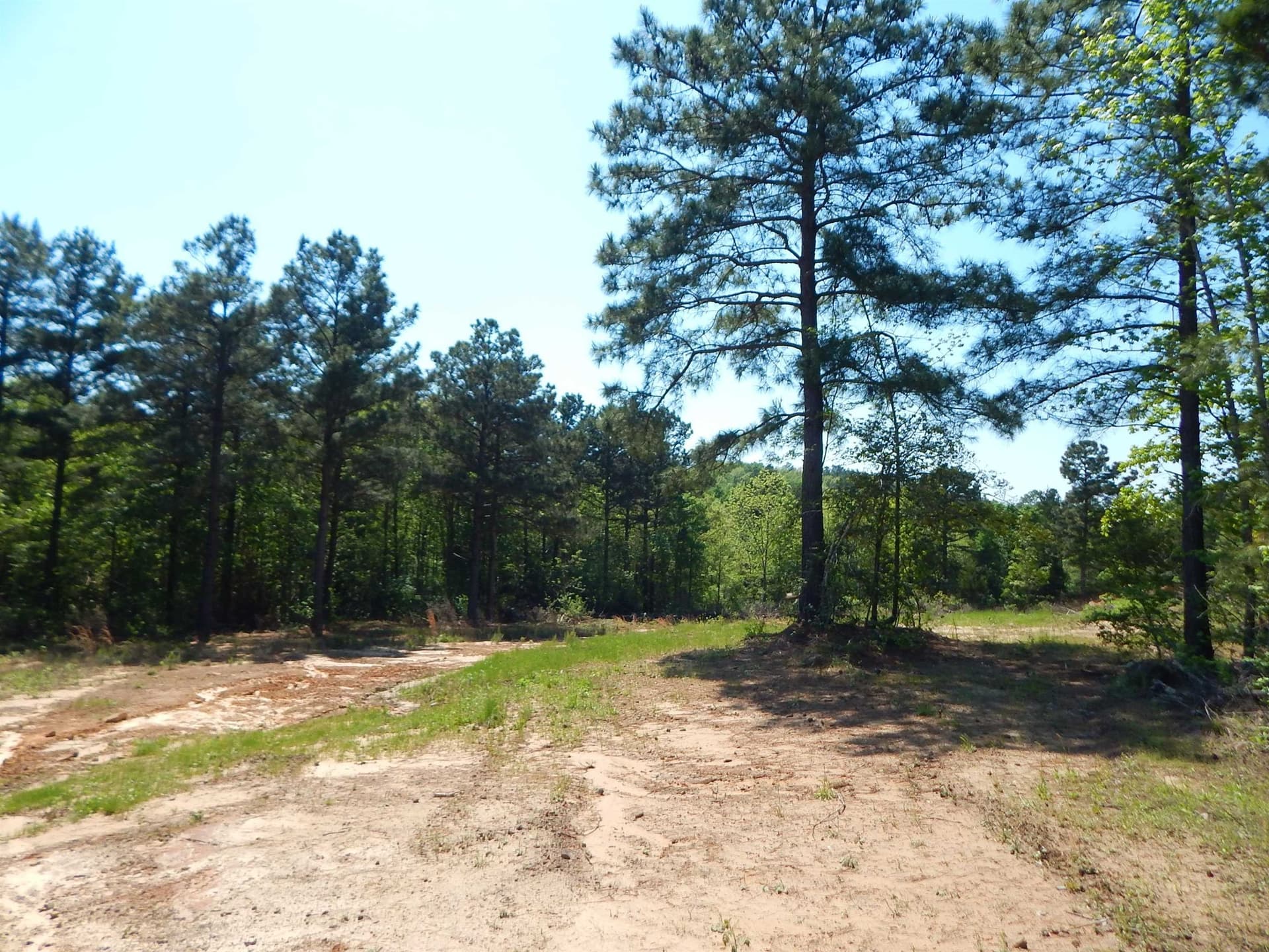 15 acres in Upshur County - photo 15