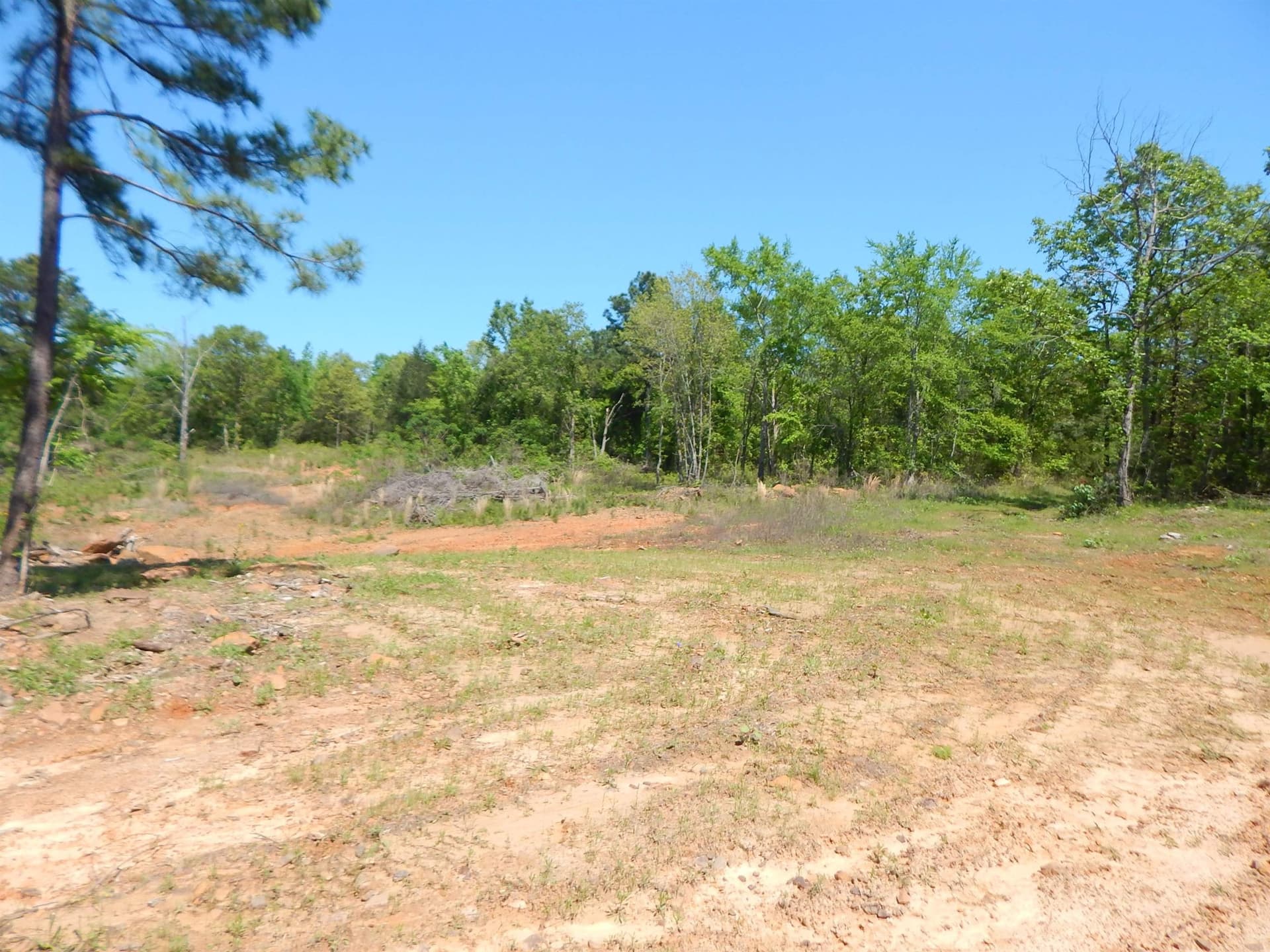 15 acres in Upshur County - photo 5