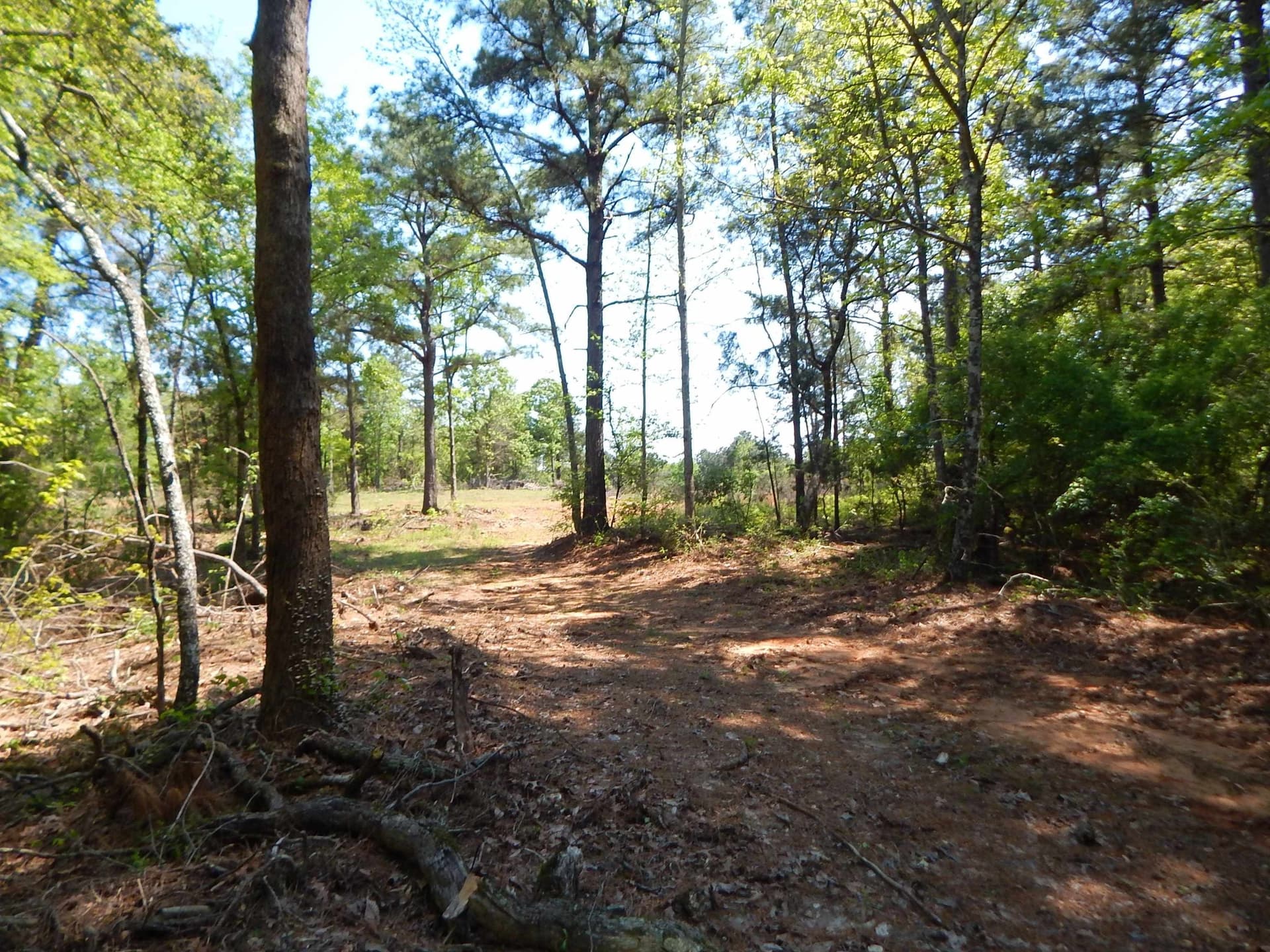 15 acres in Upshur County - photo 4