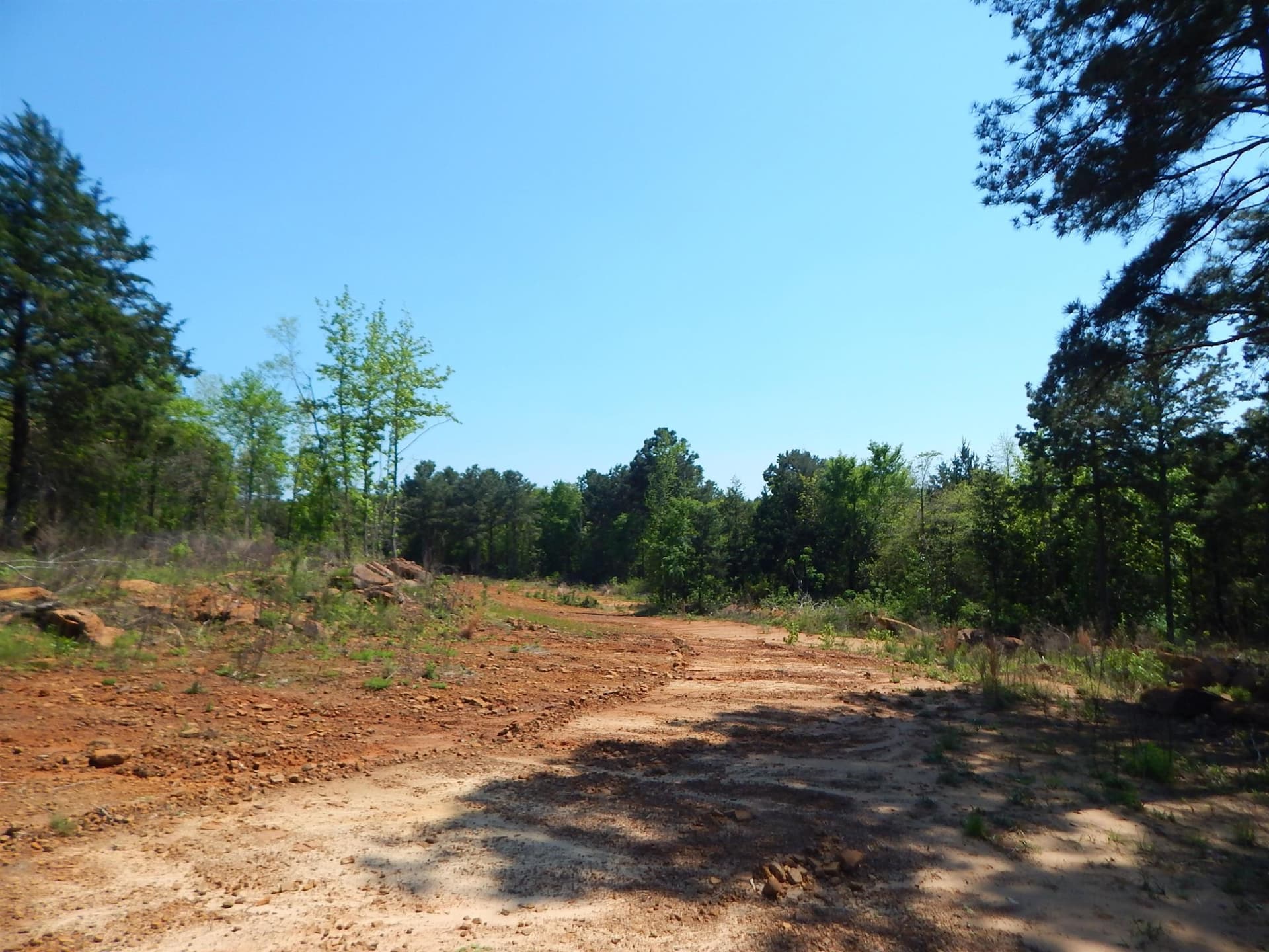 15 acres in Upshur County - photo 6