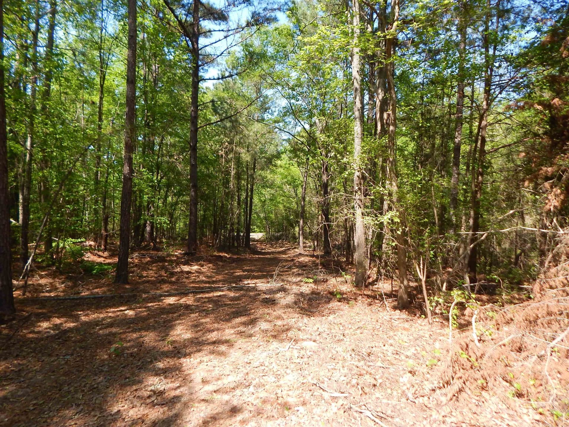 15 acres in Upshur County - photo 3