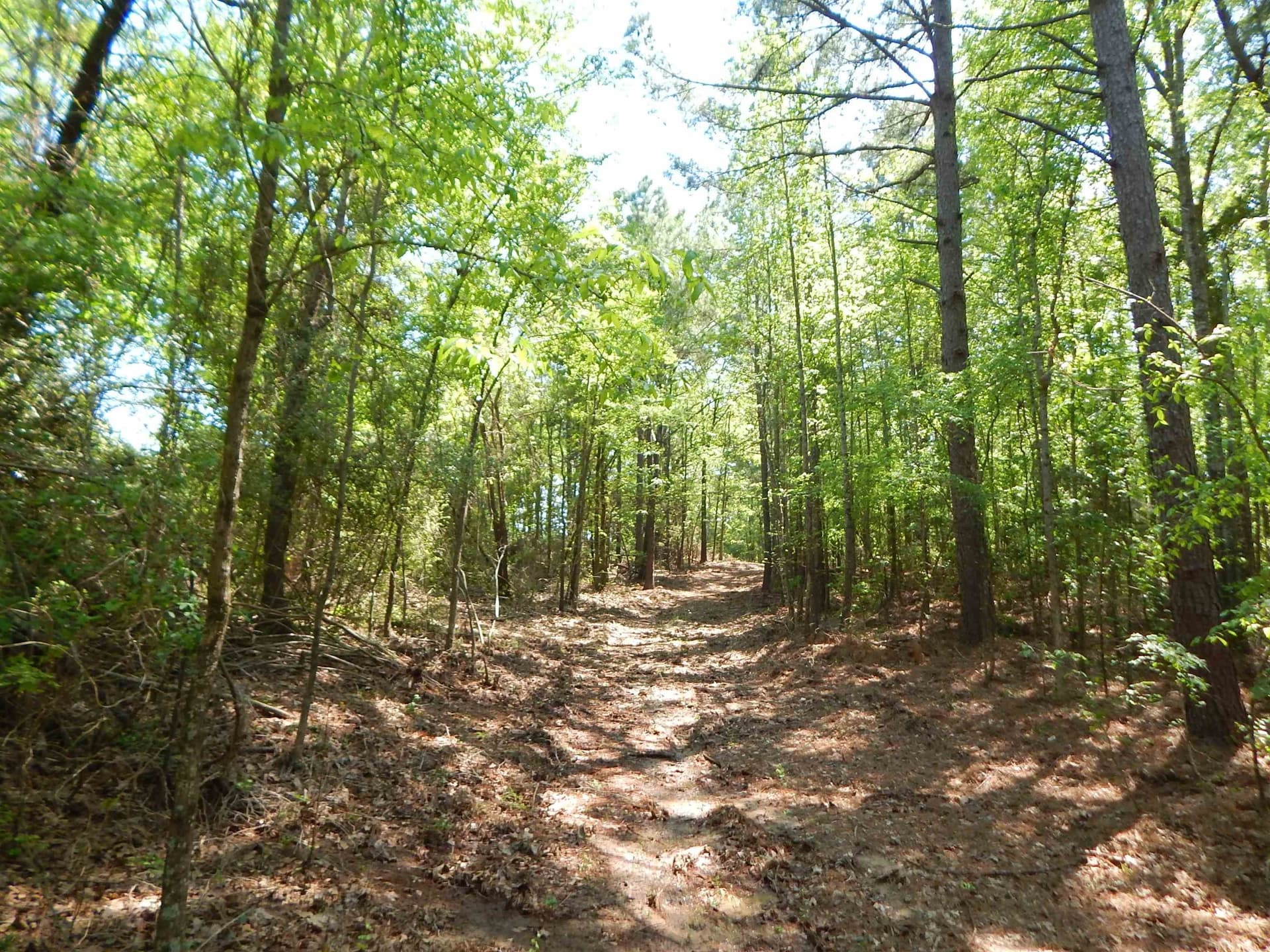 15 acres in Upshur County - photo 2