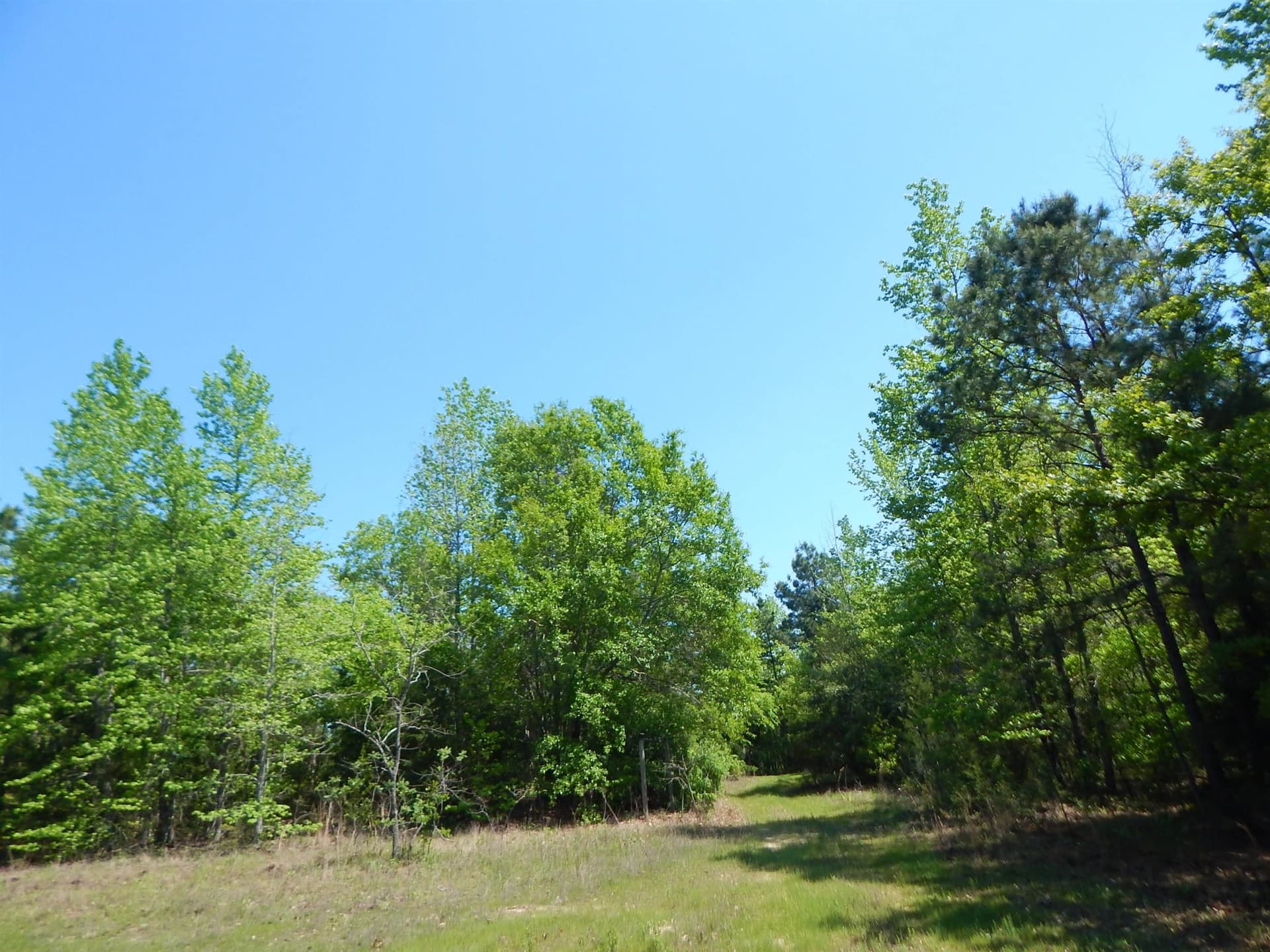 15 acres in Upshur County - photo 12