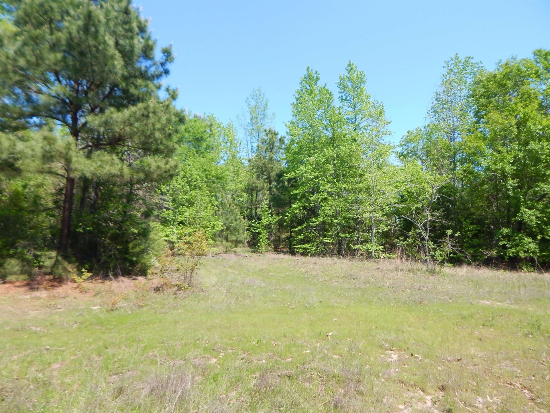 15 acres in Upshur County - photo 11