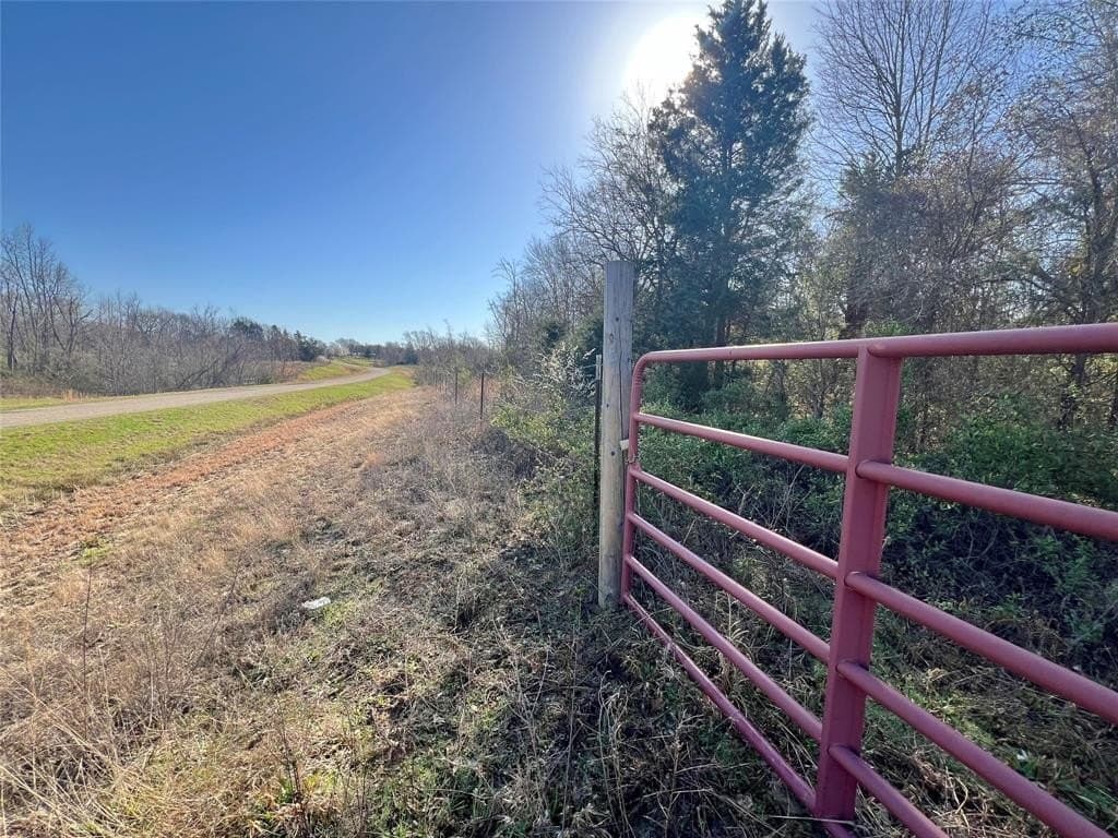 53 acres in Titus County gallery image 3