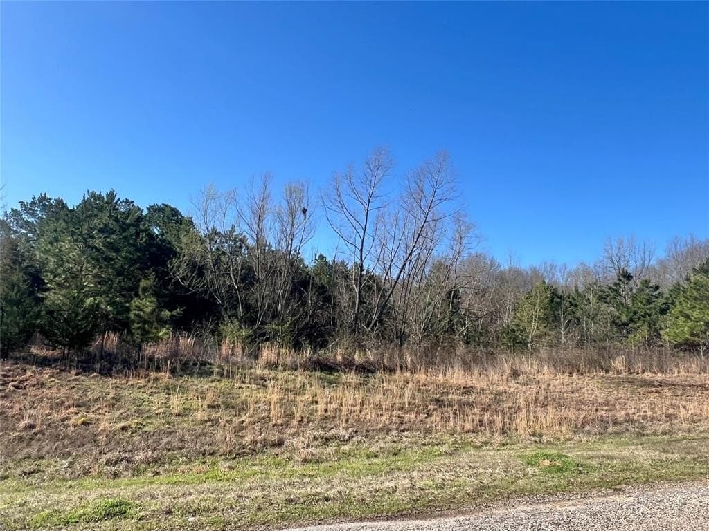 53 acres in Titus County