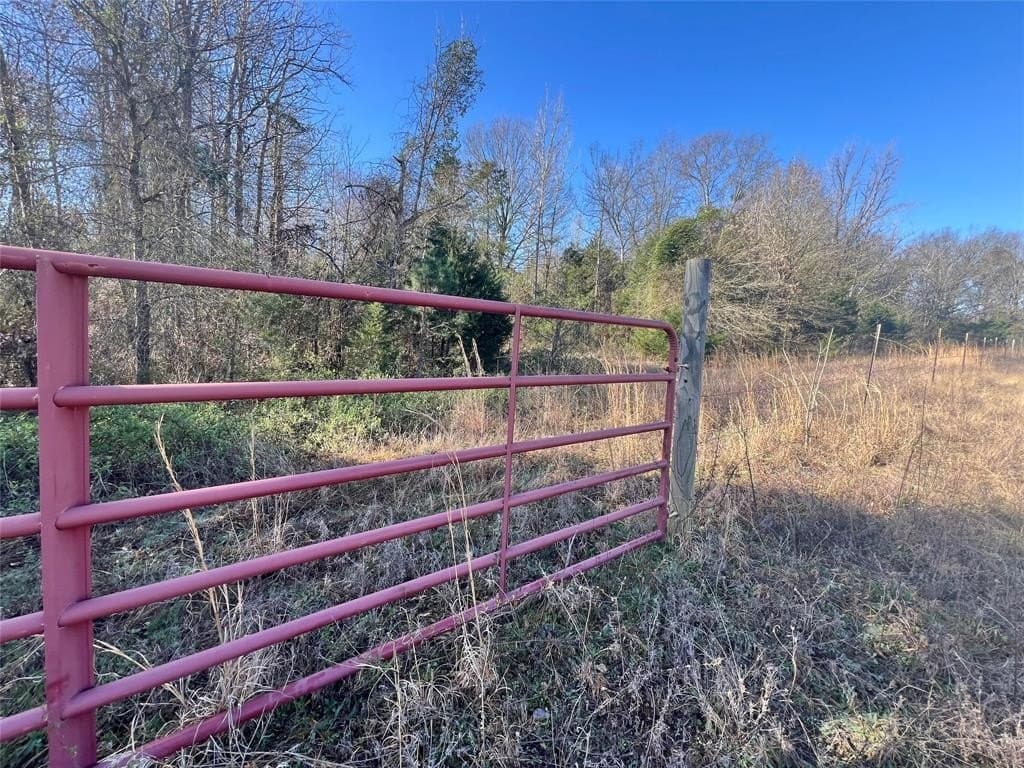 53 acres in Titus County gallery image 4