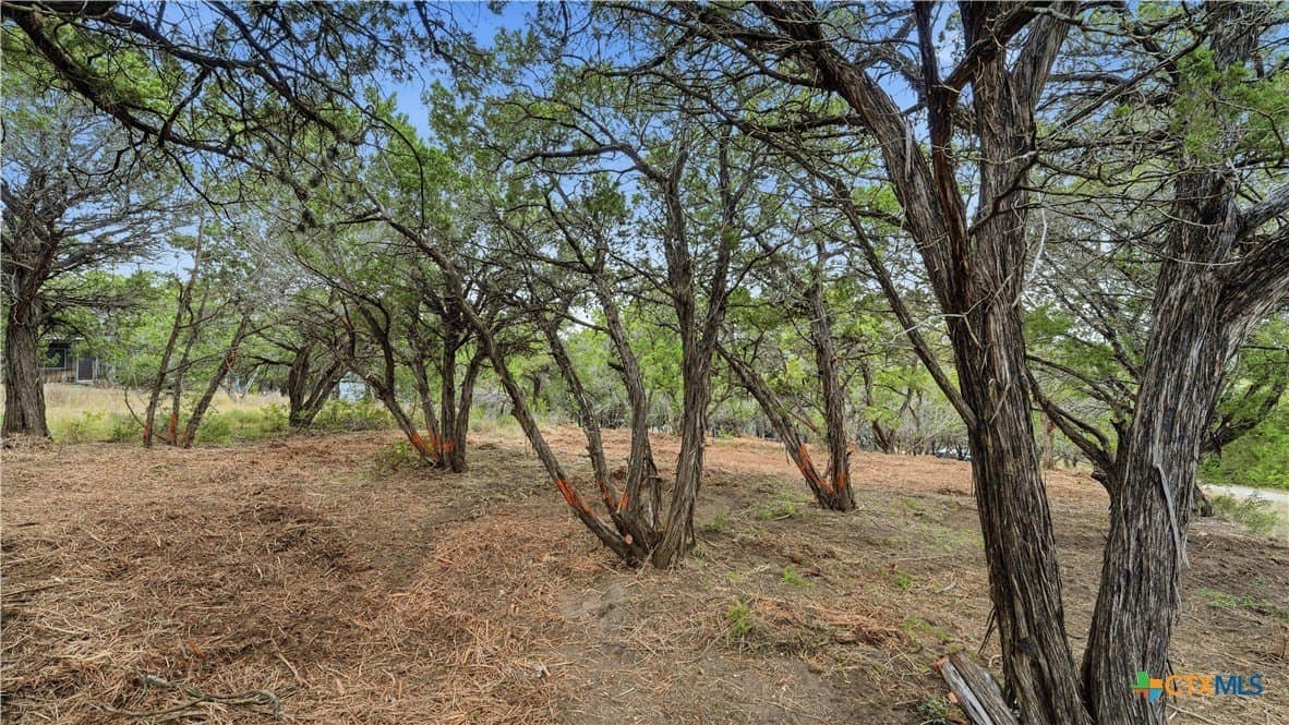 0.21 acres in Comal County - photo 3