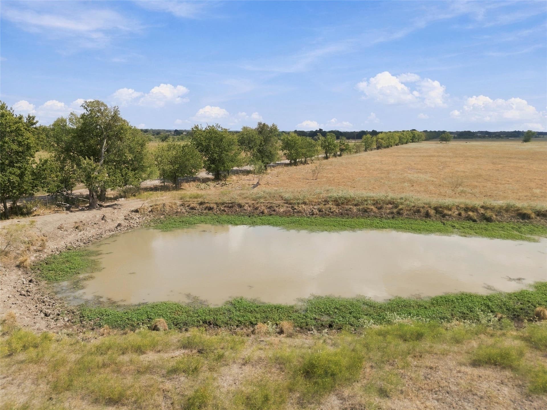 102 acres in Falls County - photo 8