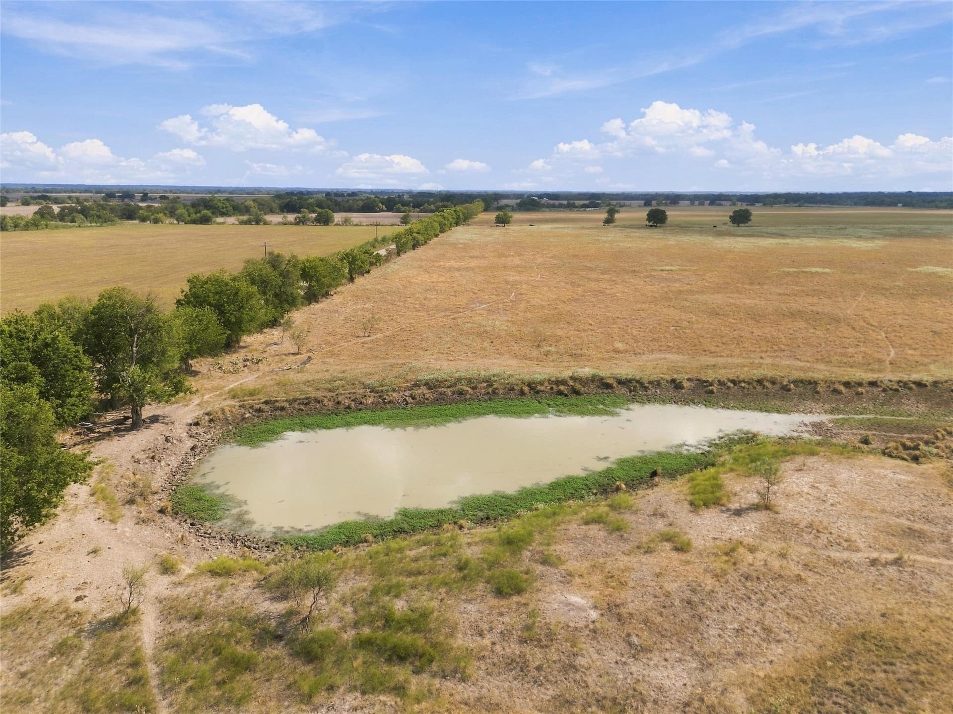 102 acres in Falls County - photo 7