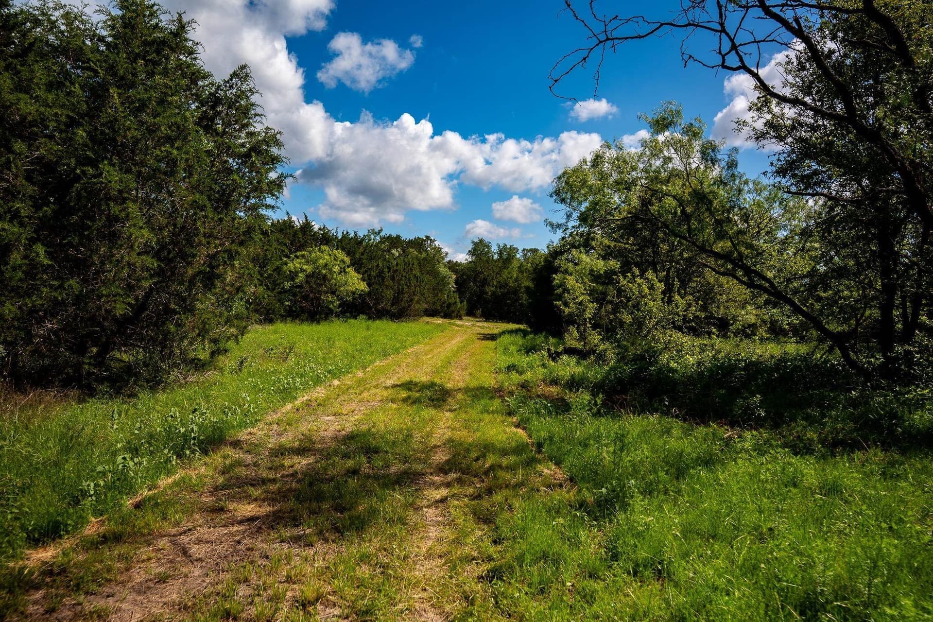 284.54 acres in Lampasas County gallery image 3