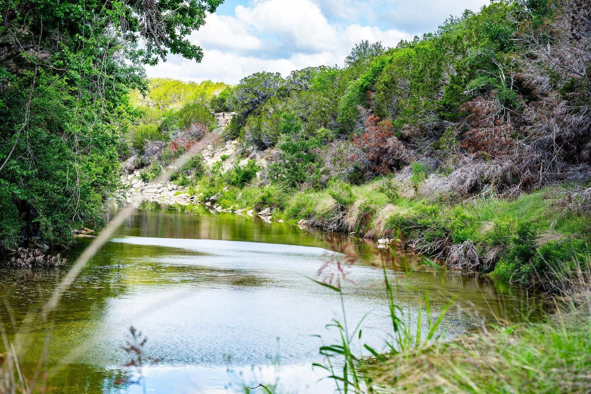 284.54 acres in Lampasas County gallery image 2
