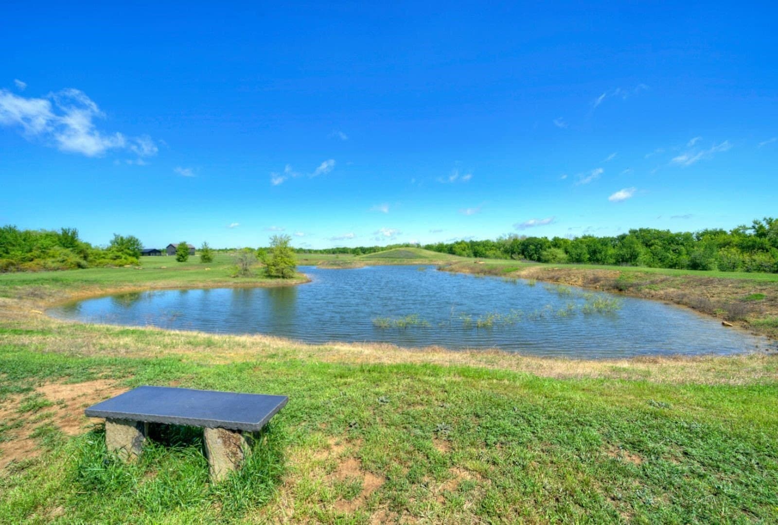 51.04 acres in Williamson County - photo 7