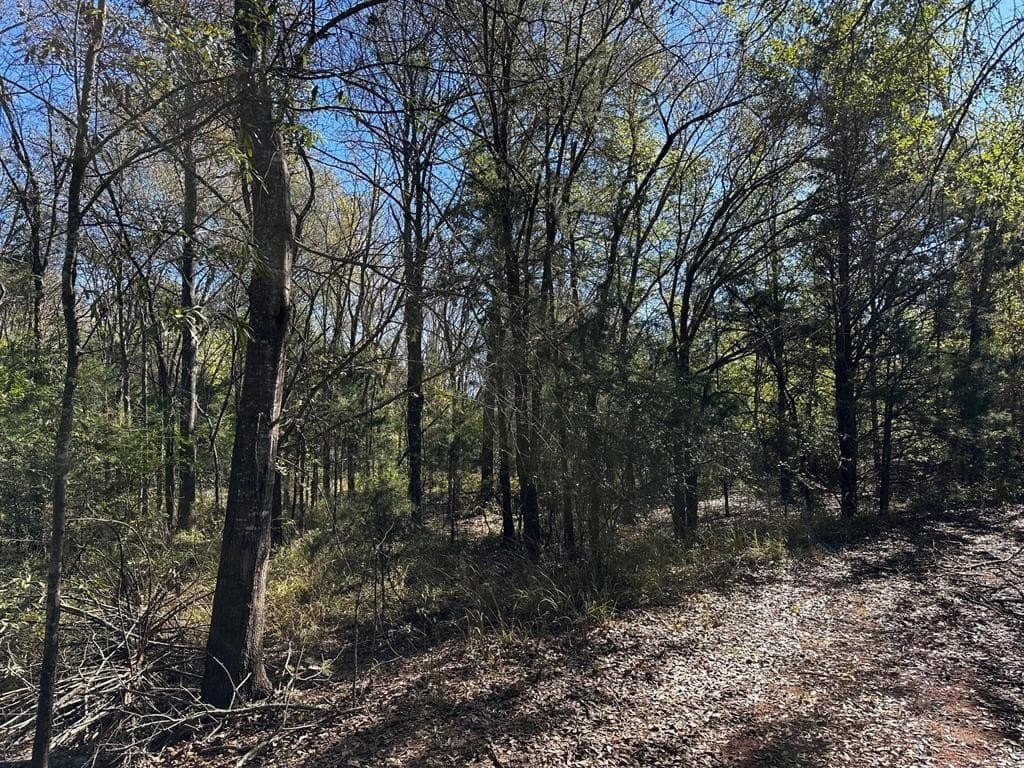 10 acres in Van Zandt County featured view